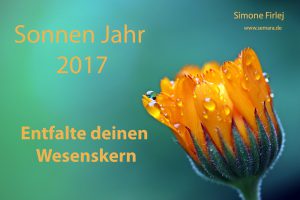 2017wesenskern