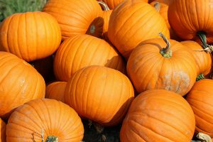 pumpkins-457716_1920