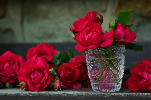 roses-821705_1920